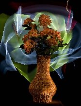 ваза с цветами или игры со светом 120кБ.jpg